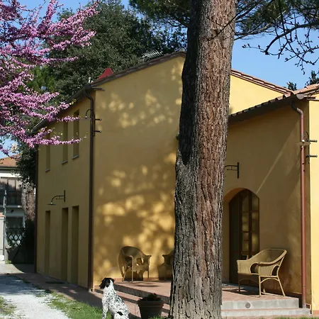 Pisa Holidays Bed & Breakfast