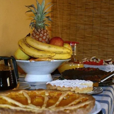Bed and breakfast Pisa Holidays