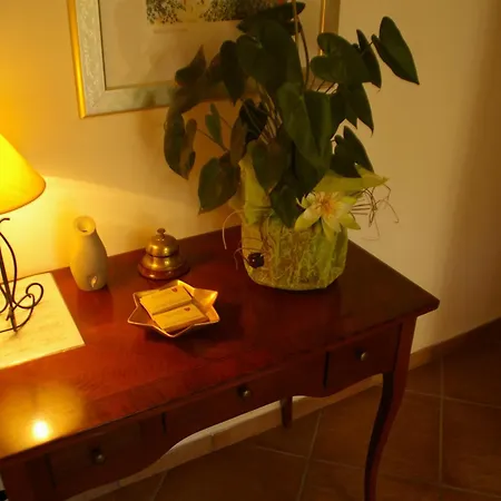 Bed and breakfast Pisa Holidays